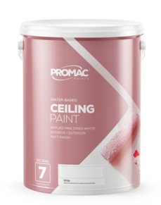 CEILING PINK TO WHITE PAINT