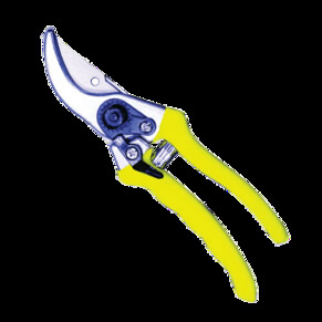 PRUNING SECATURE